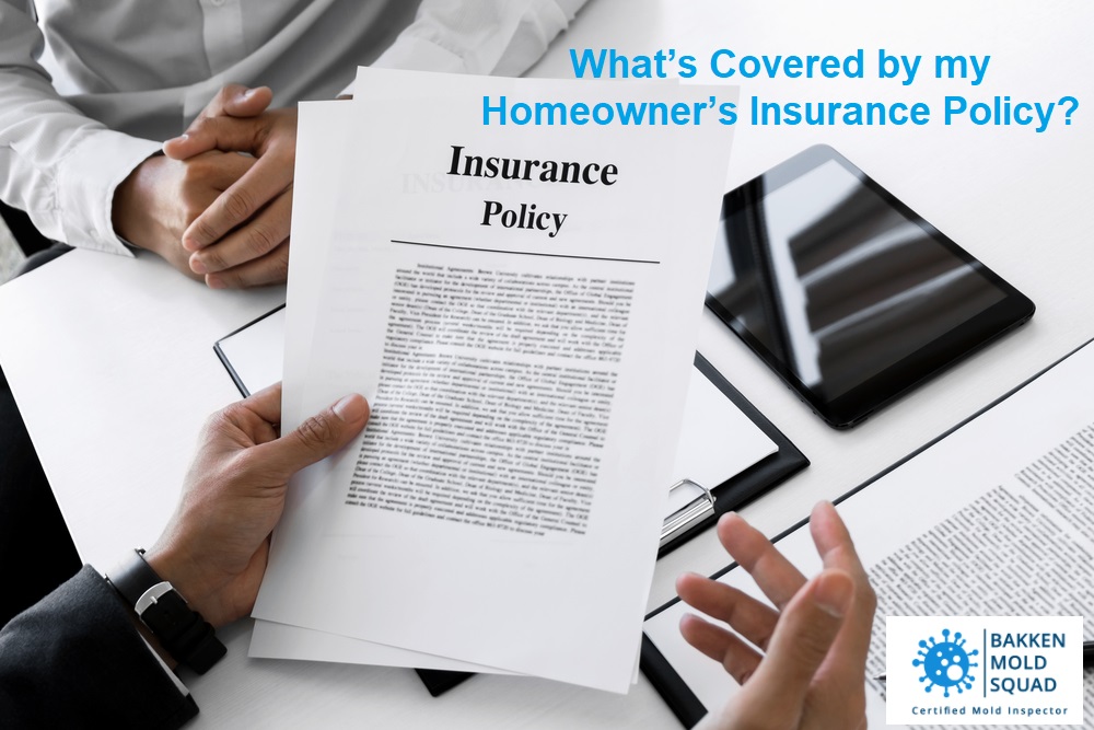 What’s Covered by my Homeowner’s Insurance Policy?