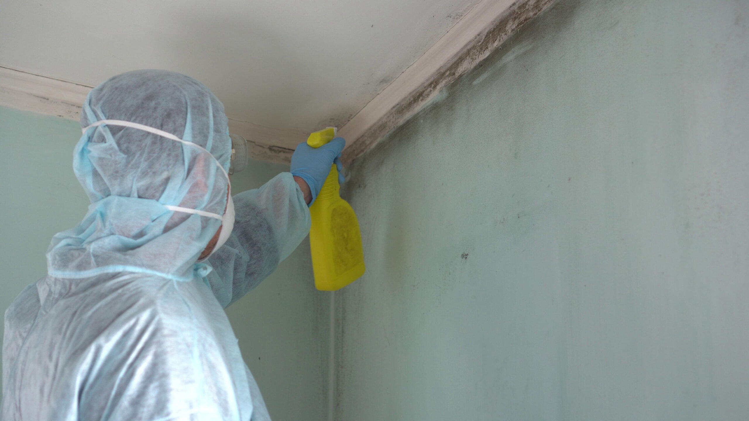Mold Removal Specialist in Minot, ND