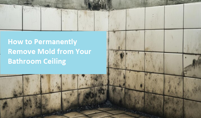 How to Permanently Remove Mold from Your Bathroom Ceiling in Williston, ND