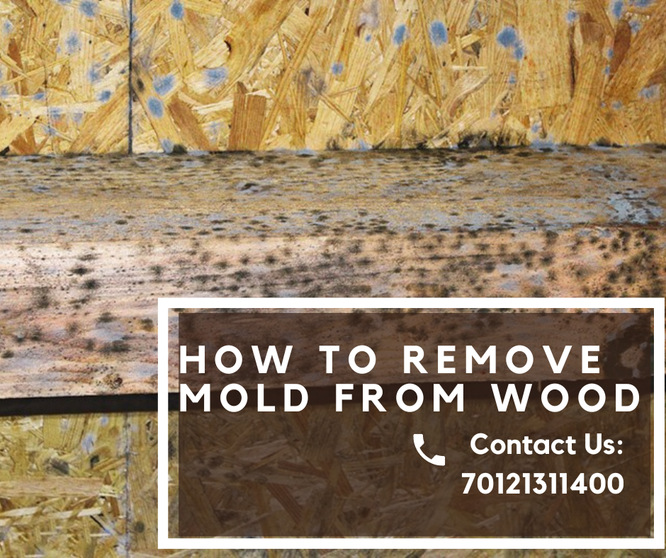 How to Remove Mold from Wood?