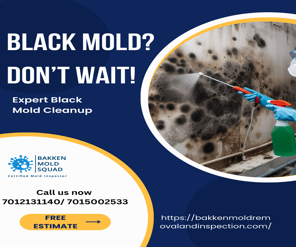 Black Mold Removal Services in Williston, ND